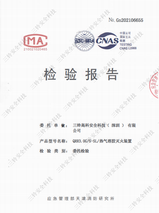 檢驗(yàn)報(bào)告